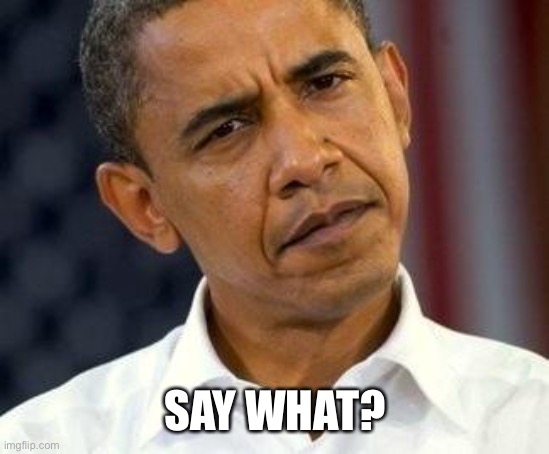 confused obama | SAY WHAT? | image tagged in confused obama | made w/ Imgflip meme maker