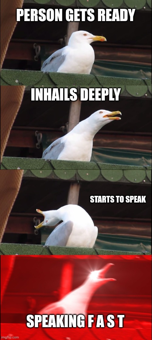 PERSON GETS READY INHAILS DEEPLY STARTS TO SPEAK SPEAKING F A S T | image tagged in memes,inhaling seagull | made w/ Imgflip meme maker