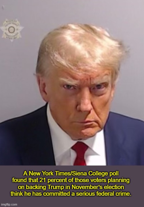 A fifth of people who plan to vote for Trump think he committed serious federal crimes : Poll | A New York Times/Siena College poll found that 21 percent of those voters planning on backing Trump in November’s election think he has committed a serious federal crime. | image tagged in donald trump mugshot,politics,polls,news | made w/ Imgflip meme maker