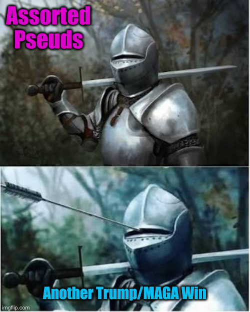Accurate Aimed Fire | Assorted Pseuds; Another Trump/MAGA Win | image tagged in knight arrow spear between eyes,funny memes,memes | made w/ Imgflip meme maker