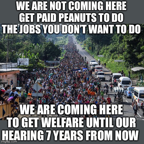 immigrant caravan | WE ARE NOT COMING HERE GET PAID PEANUTS TO DO THE JOBS YOU DON’T WANT TO DO WE ARE COMING HERE TO GET WELFARE UNTIL OUR HEARING 7 YEARS FROM | image tagged in immigrant caravan | made w/ Imgflip meme maker