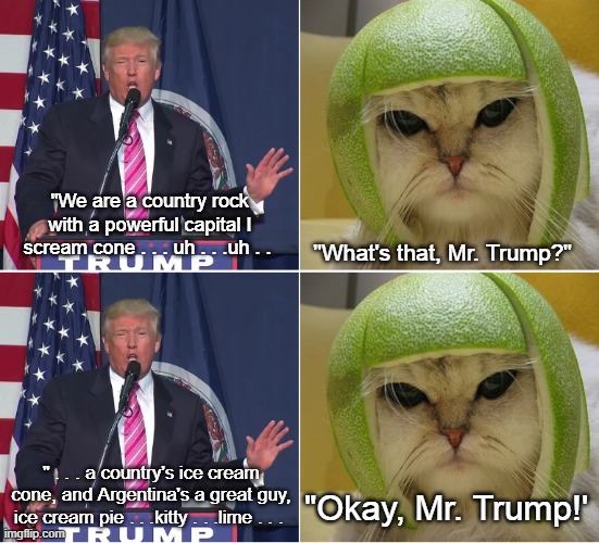Incoherent Trump & Cat With Lime Helmet | "We are a country rock with a powerful capital I scream cone . . . uh . . .uh . . "What's that, Mr. Trump?"; " . . . a country's ice cream cone, and Argentina's a great guy, ice cream pie . . .kitty . . .lime . . . "Okay, Mr. Trump!' | image tagged in donald trump,incoherence,cat with lime helmet,i hate donald trump,trump sucks | made w/ Imgflip meme maker