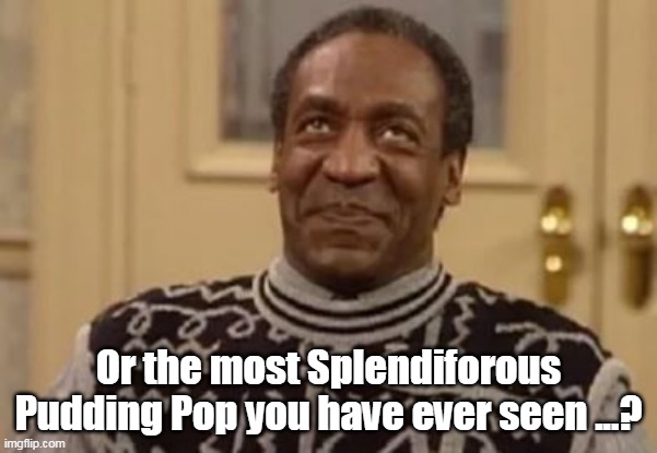 Or the most Splendiforous Pudding Pop you have ever seen ...? | made w/ Imgflip meme maker