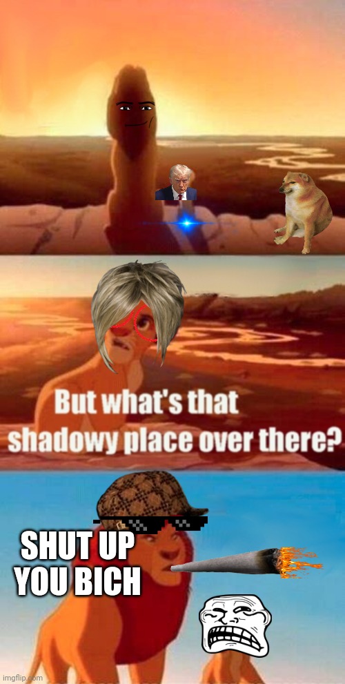 I was bored | SHUT UP YOU BICH | image tagged in memes,simba shadowy place | made w/ Imgflip meme maker