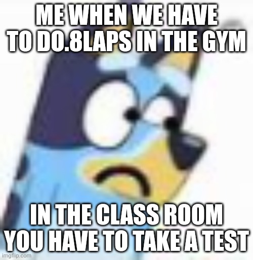 Worst day ever | ME WHEN WE HAVE TO DO.8LAPS IN THE GYM; IN THE CLASS ROOM YOU HAVE TO TAKE A TEST | image tagged in sad bluey - bluey | made w/ Imgflip meme maker