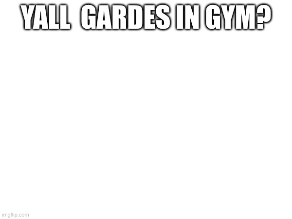so what is it | YALL  GARDES IN GYM? | image tagged in mine is a plus 24/7 | made w/ Imgflip meme maker
