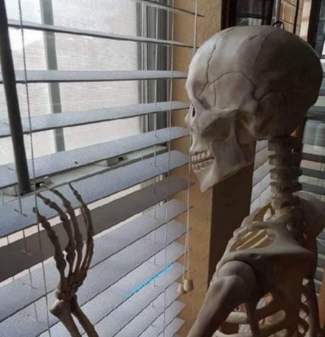 High Quality skeleton waiting window Blank Meme Template