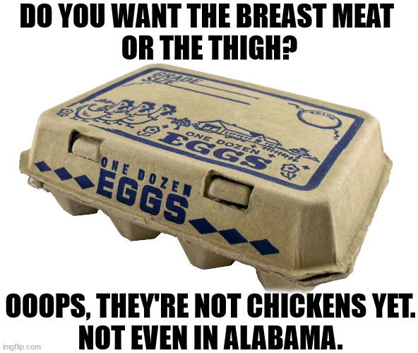If you've given each of them a name, you need an intervention. | DO YOU WANT THE BREAST MEAT 
OR THE THIGH? OOOPS, THEY'RE NOT CHICKENS YET.
NOT EVEN IN ALABAMA. | image tagged in eggs these are not frozen embryos or potential chickens,alabama,eggs,chicken,ivf,prolife | made w/ Imgflip meme maker
