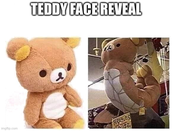 Tied Up Teddy Bear | TEDDY FACE REVEAL | image tagged in tied up teddy bear,soldatoteddybear | made w/ Imgflip meme maker
