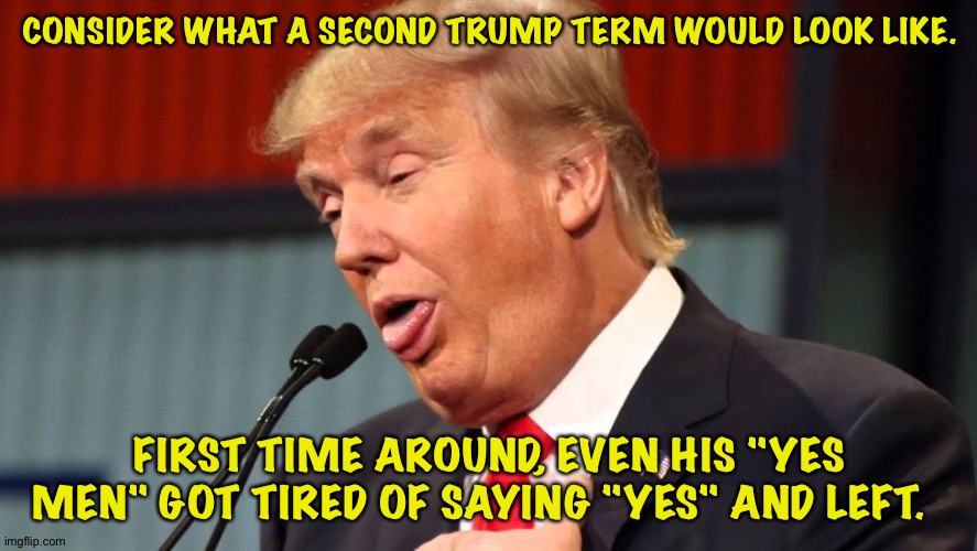 Adults want no part of him. | CONSIDER WHAT A SECOND TRUMP TERM WOULD LOOK LIKE. FIRST TIME AROUND, EVEN HIS "YES MEN" GOT TIRED OF SAYING "YES" AND LEFT. | image tagged in stupid trump | made w/ Imgflip meme maker