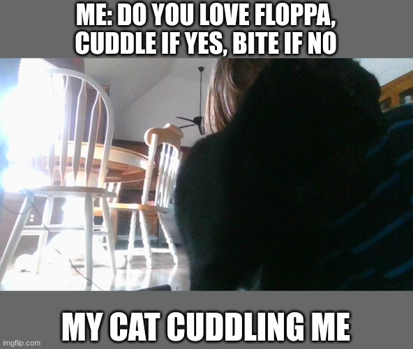 kjershjnstrjjttt | ME: DO YOU LOVE FLOPPA, CUDDLE IF YES, BITE IF NO; MY CAT CUDDLING ME | image tagged in dtyhjtd,yf,juyr,d,hjne,yudt | made w/ Imgflip meme maker