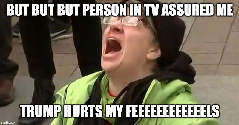 crying liberal | BUT BUT BUT PERSON IN TV ASSURED ME TRUMP HURTS MY FEEEEEEEEEEEELS | image tagged in crying liberal | made w/ Imgflip meme maker