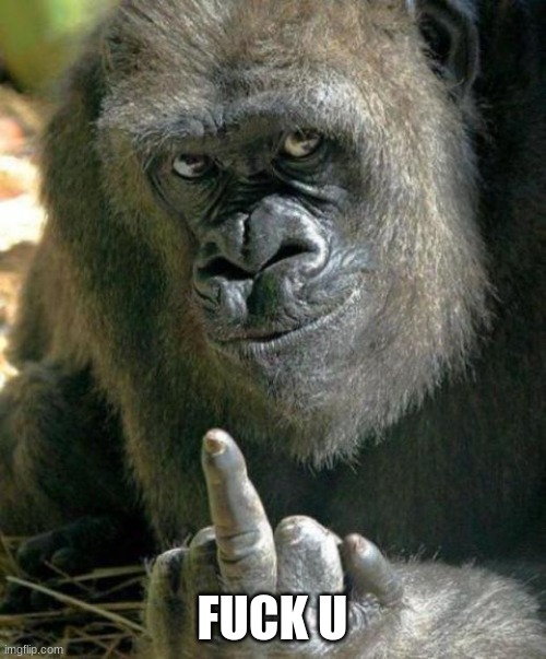 gorilla middle finger | FUCK U | image tagged in gorilla middle finger | made w/ Imgflip meme maker