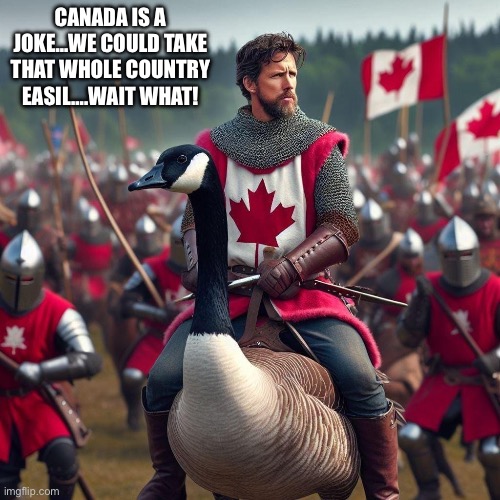 Canada | CANADA IS A JOKE…WE COULD TAKE THAT WHOLE COUNTRY EASIL….WAIT WHAT! | image tagged in gooses,meanwhile in canada | made w/ Imgflip meme maker