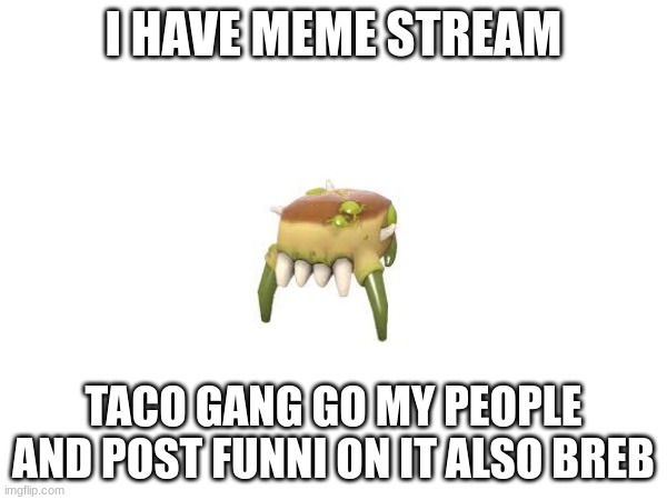 taco gang | I HAVE MEME STREAM; TACO GANG GO MY PEOPLE AND POST FUNNI ON IT ALSO BREB | image tagged in mem strem | made w/ Imgflip meme maker