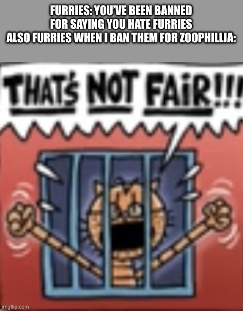 THAT’S NOT FAIR!!! | FURRIES: YOU’VE BEEN BANNED FOR SAYING YOU HATE FURRIES
ALSO FURRIES WHEN I BAN THEM FOR ZOOPHILLIA: | image tagged in that s not fair | made w/ Imgflip meme maker