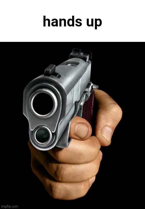 pointing gun | hands up | image tagged in pointing gun | made w/ Imgflip meme maker