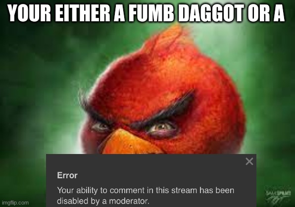 Realistic Red Angry Birds | YOUR EITHER A FUMB DAGGOT OR A | image tagged in realistic red angry birds | made w/ Imgflip meme maker