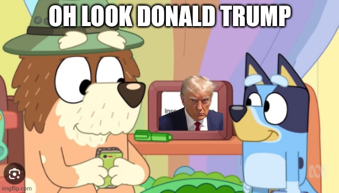 oh look a meme | OH LOOK DONALD TRUMP | image tagged in oh look a meme | made w/ Imgflip meme maker
