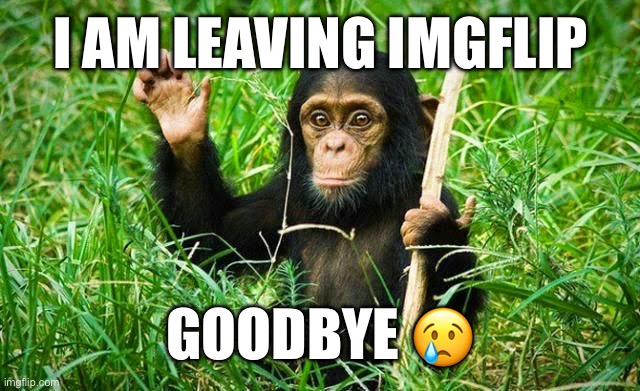 Goodbye | I AM LEAVING IMGFLIP; GOODBYE 😢 | image tagged in goodbye | made w/ Imgflip meme maker