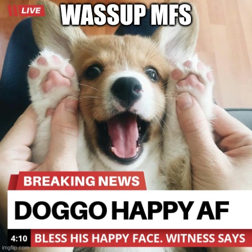 doggo | WASSUP MFS | image tagged in doggo | made w/ Imgflip meme maker