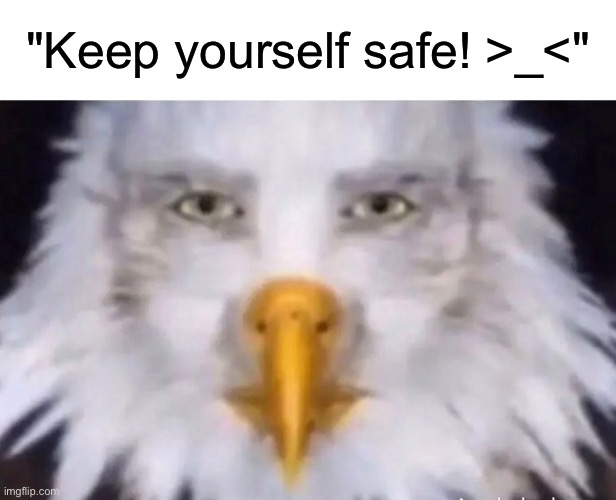 eagle straight face | "Keep yourself safe! >_<" | image tagged in eagle straight face | made w/ Imgflip meme maker