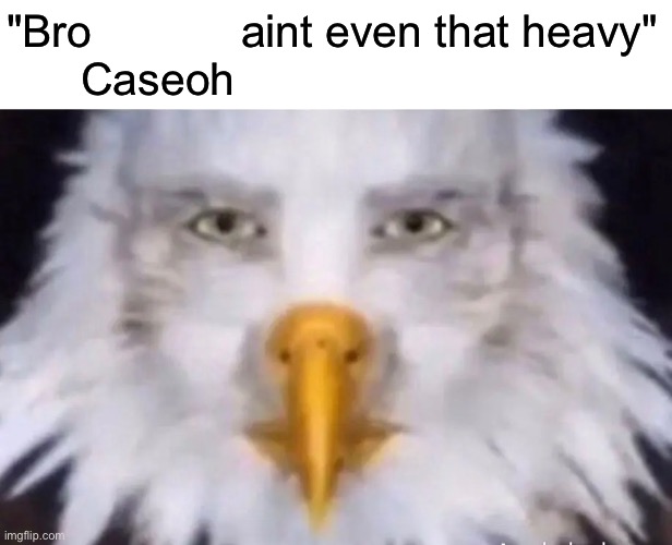 eagle straight face | "Bro            aint even that heavy"
      Caseoh | image tagged in eagle straight face | made w/ Imgflip meme maker