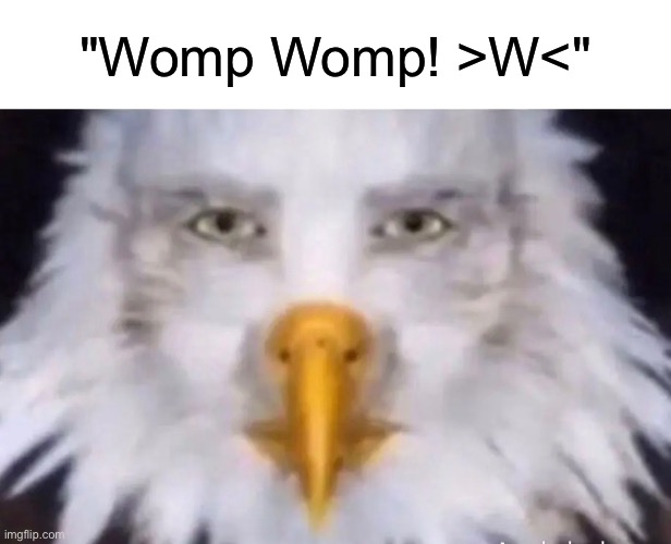 eagle straight face | "Womp Womp! >W<" | image tagged in eagle straight face | made w/ Imgflip meme maker