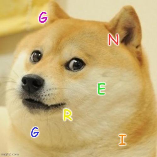 Doge | G; N; E; R; G; I | image tagged in memes,doge | made w/ Imgflip meme maker