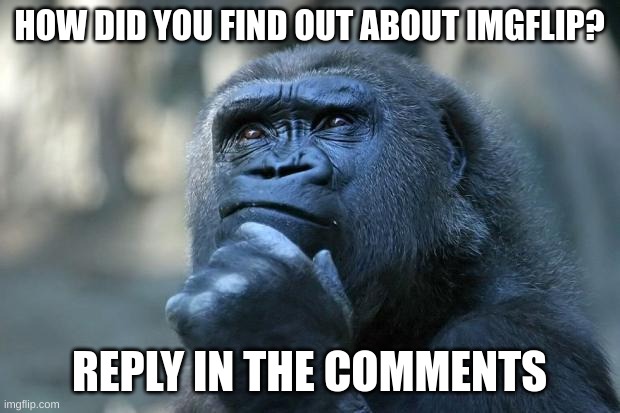 Some super cool and awesome title | HOW DID YOU FIND OUT ABOUT IMGFLIP? REPLY IN THE COMMENTS | image tagged in deep thoughts | made w/ Imgflip meme maker