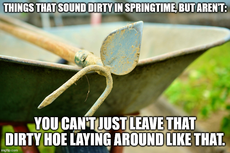 Things That Sound Dirty: Springtime Edition (Part 2) | THINGS THAT SOUND DIRTY IN SPRINGTIME, BUT AREN'T:; YOU CAN'T JUST LEAVE THAT DIRTY HOE LAYING AROUND LIKE THAT. | image tagged in garden tools,funny,humor,pun,double entendre | made w/ Imgflip meme maker