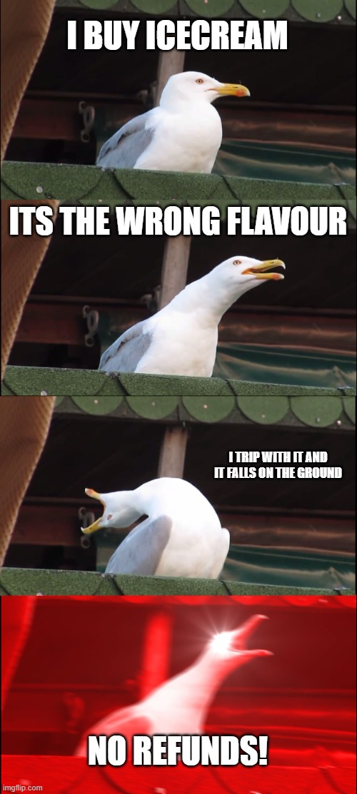 relatable | I BUY ICECREAM; ITS THE WRONG FLAVOUR; I TRIP WITH IT AND IT FALLS ON THE GROUND; NO REFUNDS! | image tagged in memes,inhaling seagull | made w/ Imgflip meme maker