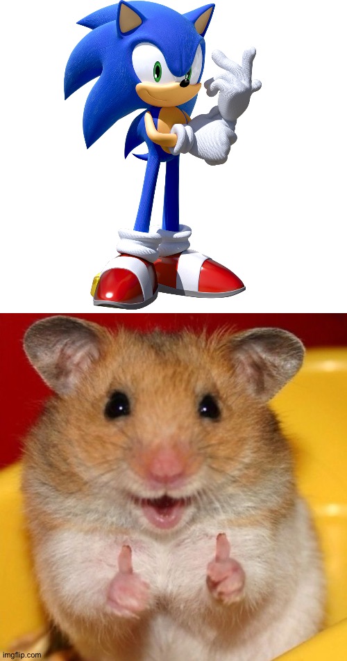 Happy Hamster is a big fan of Sonic | image tagged in happy hamster,sonic the hedgehog | made w/ Imgflip meme maker