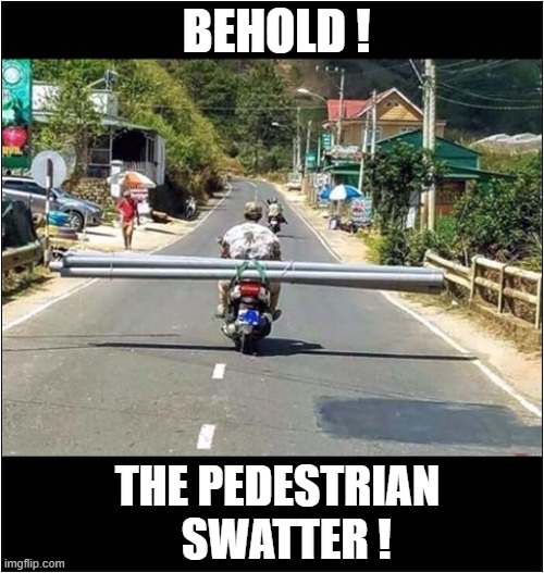 We All Need A Hobby ! | BEHOLD ! THE PEDESTRIAN
  SWATTER ! | image tagged in motorcycle,wide load,pedestrian,dark humour | made w/ Imgflip meme maker