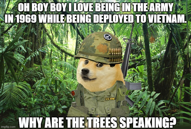 Jungle | OH BOY BOY I LOVE BEING IN THE ARMY IN 1969 WHILE BEING DEPLOYED TO VIETNAM. WHY ARE THE TREES SPEAKING? | image tagged in jungle,history memes,operator bravo,jungle doge | made w/ Imgflip meme maker