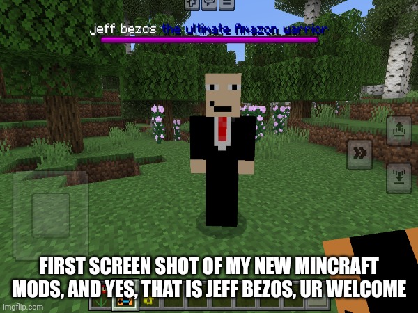 I finally did it | FIRST SCREEN SHOT OF MY NEW MINCRAFT MODS, AND YES, THAT IS JEFF BEZOS, UR WELCOME | image tagged in funny,funny memes,memes,meme,funny meme,mincraft | made w/ Imgflip meme maker