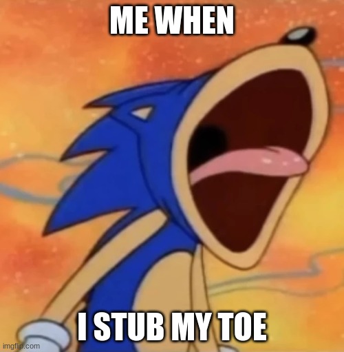 made this meme template | ME WHEN; I STUB MY TOE | image tagged in sonic scream,sonic the hedgehog,sonic | made w/ Imgflip meme maker