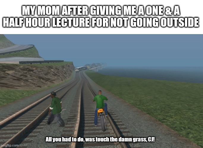All you had to do... | MY MOM AFTER GIVING ME A ONE & A HALF HOUR LECTURE FOR NOT GOING OUTSIDE; All you had to do, was touch the damn grass, CJ! | image tagged in all we had to do was follow the damn train cj,mom,touch grass | made w/ Imgflip meme maker
