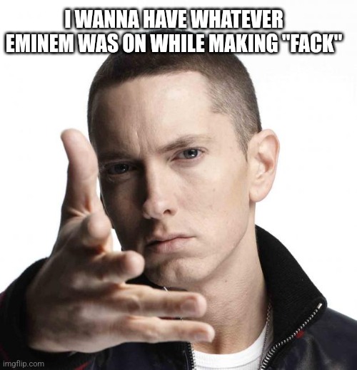 just listen to it and you'll see why | I WANNA HAVE WHATEVER EMINEM WAS ON WHILE MAKING "FACK" | image tagged in eminem video game logic | made w/ Imgflip meme maker