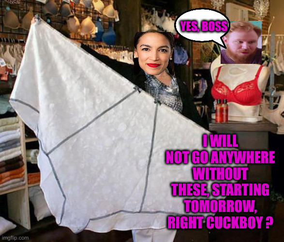 Who Wears The Big Girl Panties ? | YES, BOSS; I WILL NOT GO ANYWHERE WITHOUT THESE, STARTING TOMORROW, RIGHT CUCKBOY ? | image tagged in panties,funny memes,memes | made w/ Imgflip meme maker