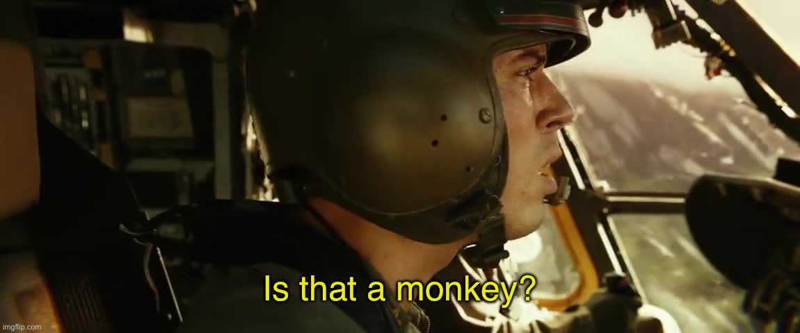 High Quality Is that a monkey? Blank Meme Template