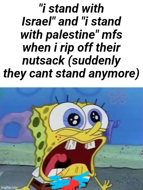 Spongebob crying/screaming | "i stand with Israel" and "i stand with palestine" mfs when i rip off their nutsack (suddenly they cant stand anymore) | image tagged in spongebob crying/screaming | made w/ Imgflip meme maker