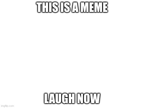laugh | THIS IS A MEME; LAUGH NOW | image tagged in now | made w/ Imgflip meme maker