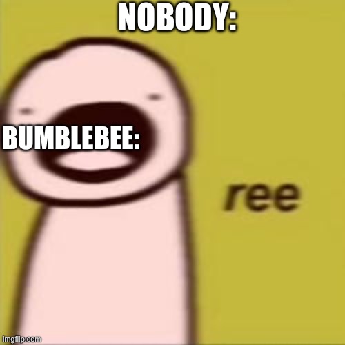 Idk if I’ll get banned but I’ll take a chance | NOBODY:; BUMBLEBEE: | made w/ Imgflip meme maker