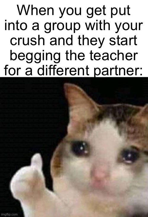 It do always be like that for some reason. | When you get put into a group with your crush and they start begging the teacher for a different partner: | image tagged in sad thumbs up cat | made w/ Imgflip meme maker