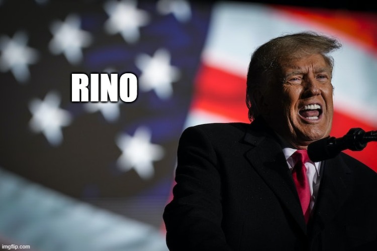 RINO!!! | RINO | image tagged in trump,rino,republican in name only | made w/ Imgflip meme maker