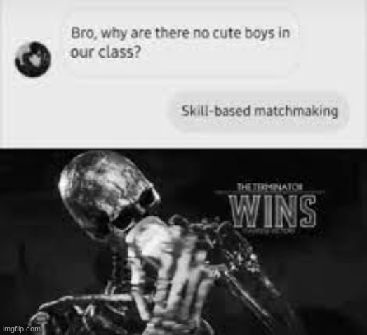 skilled based match making | image tagged in terminator,damnnnn you got roasted | made w/ Imgflip meme maker