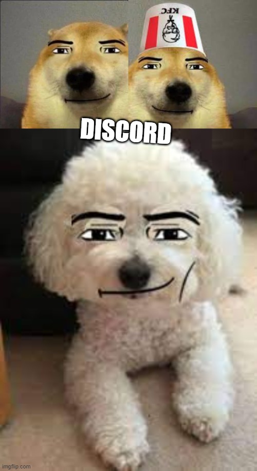 real | DISCORD | image tagged in el doggo da face da men,kfc da doggo,da doggo | made w/ Imgflip meme maker