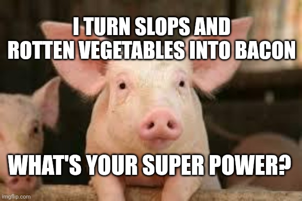 pig | I TURN SLOPS AND ROTTEN VEGETABLES INTO BACON; WHAT'S YOUR SUPER POWER? | image tagged in pig | made w/ Imgflip meme maker