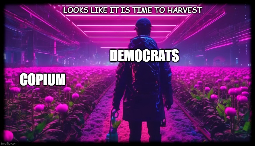 Dealing with Copium | LOOKS LIKE IT IS TIME TO HARVEST; DEMOCRATS; COPIUM | made w/ Imgflip meme maker